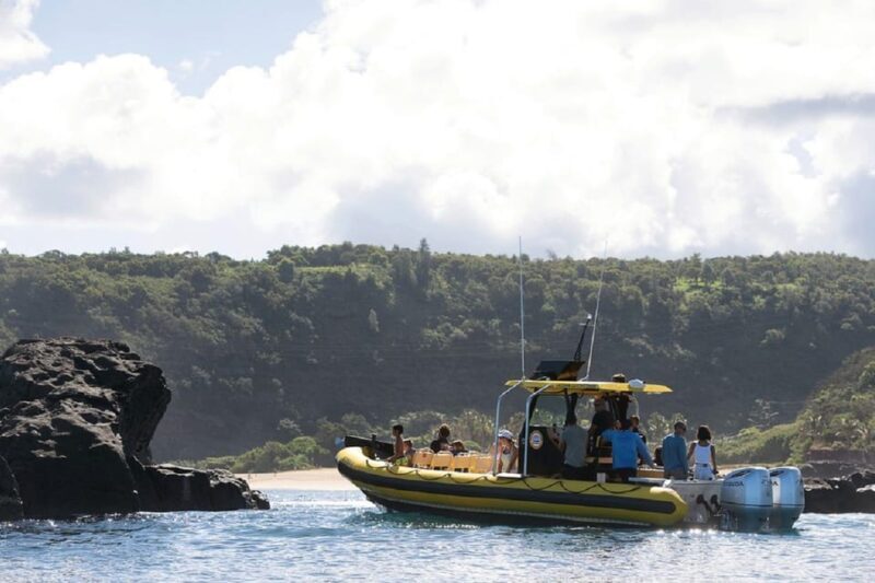 Oahu: North Shore Snorkeling Tour from Haleiwa - What Could Be Better?