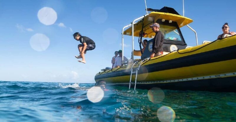 Oahu: North Shore Snorkeling Tour from Haleiwa - Final Thoughts