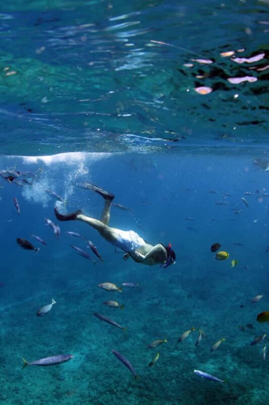 Oahu: Off road Stand-Up ATV and Sunset Snorkel Cruise - Final Thoughts