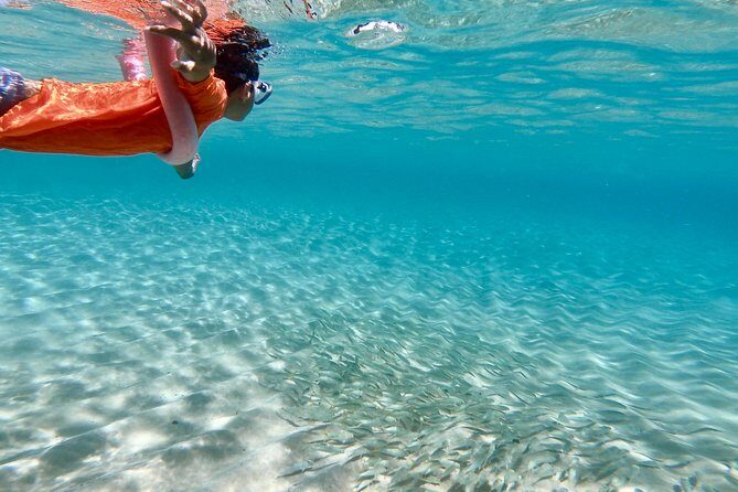 Oahu Personalized Private North Shore Highlight Custom Tour - How the Day Unfolds