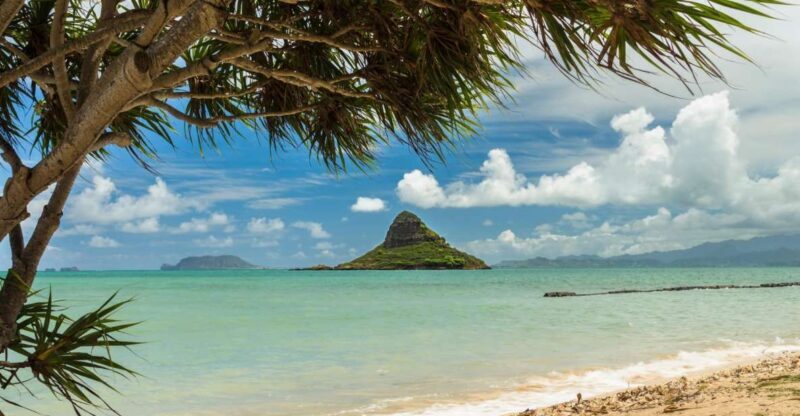 Oahu: Private Custom Island Tour - Detailed Breakdown of the Itinerary