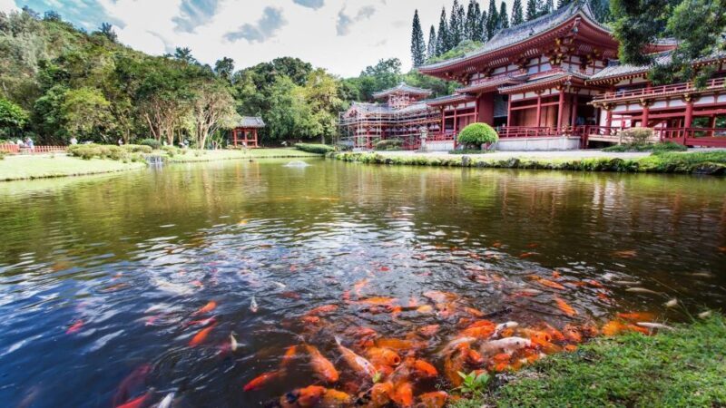 Oahu: Private Custom Island Tour - Who Should Book This Tour?