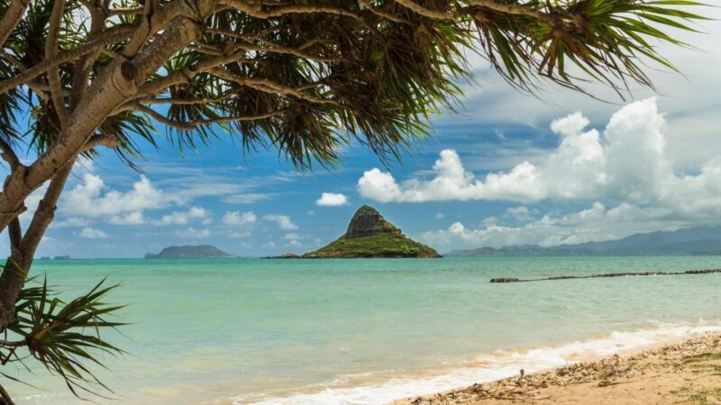 Oahu: Private Custom Island Tour - FAQs about the Oahu Private Custom Island Tour