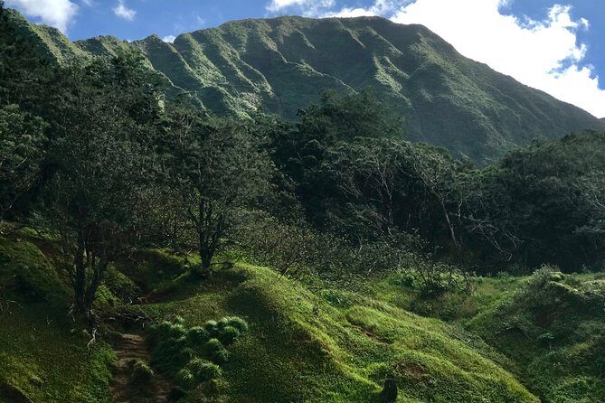 Oahu Private First, Last and Transfer Day Tours with Luggage - FAQ