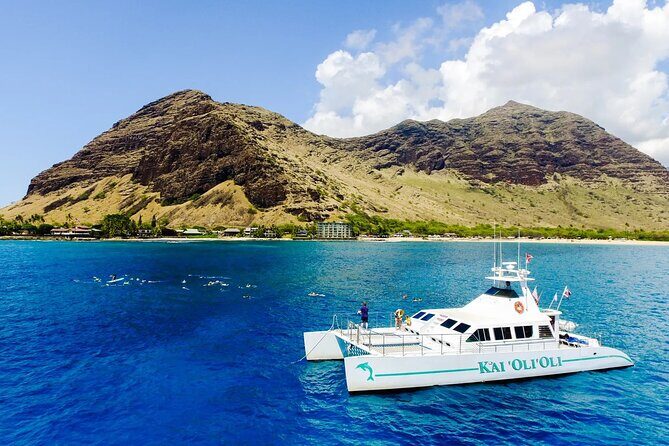 Oahu Private Sunset Snorkel and Dolphin Watch with Hot Buffet - Authentic Perspectives from Past Travelers