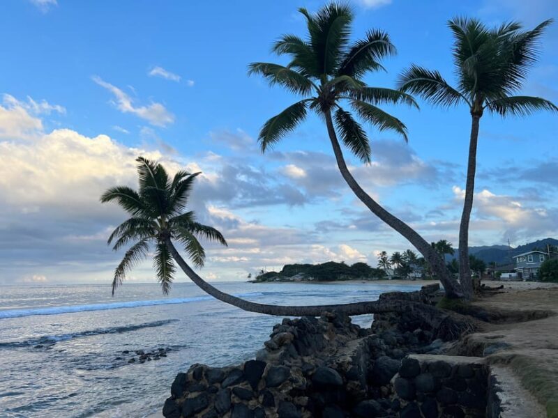 Oahu: Private Tour-Circle Island-Customizable - Suitability and Considerations