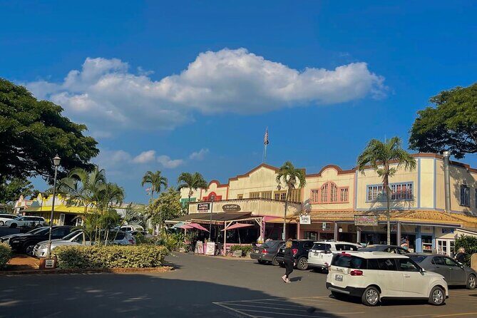 Oahu Private Tour North Shore, Waimea Falls and Dole Plantation - Key Points