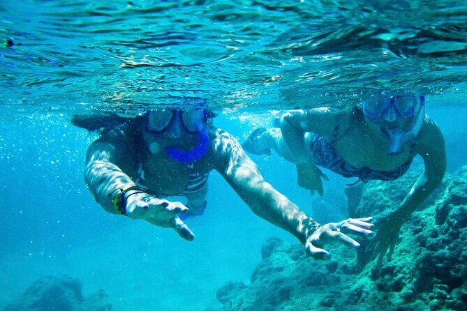 Oahu Private Tour North Shore, Waimea Falls and Dole Plantation - FAQs