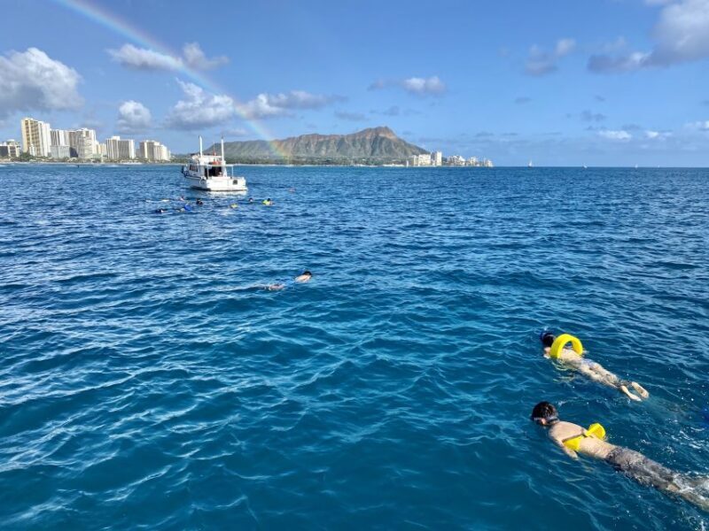 Oahu: Private Turtle Snorkeling with Customizable Itinerary - Why This Tour Stands Out