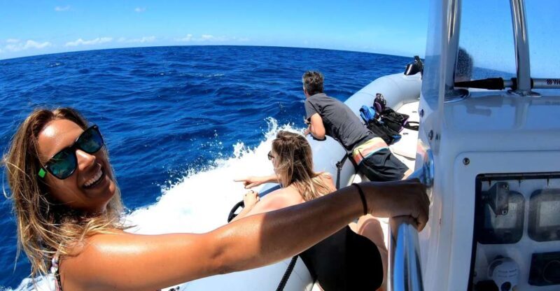 Oahu: Private Whale Watching Adventure - Oahu: Private Whale Watching Adventure — A Close-Up with Hawaii’s Gentle Giants