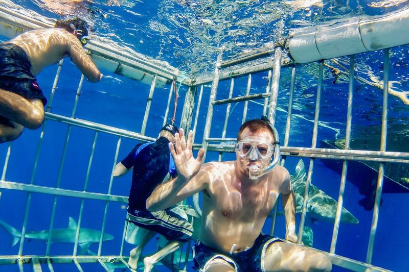 Oahu: Shark Cage Dive on the North Shore - What’s included vs what you’ll need to plan for