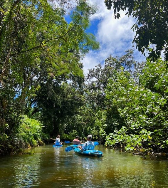 Oahu: Single & Double Kayak 3-Hour River Rental - Exploring the Oahu Kayak Experience: A Detailed Review