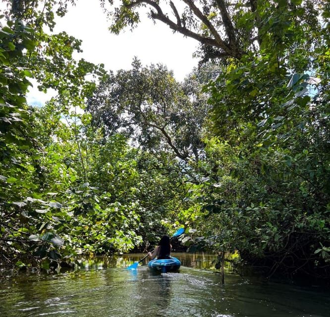 Oahu: Single & Double Kayak 3-Hour River Rental - The Appeal of the Kayak Tour on Oahu