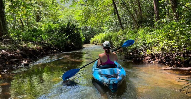 Oahu: Single & Double Kayak 3-Hour River Rental - The Cost and Its Value