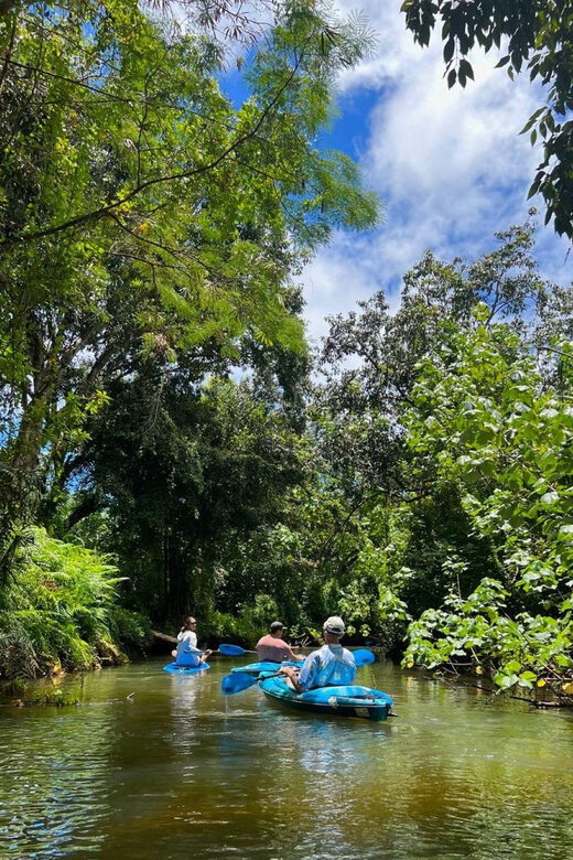 Oahu: Single & Double Kayak 3-Hour River Rental - FAQ