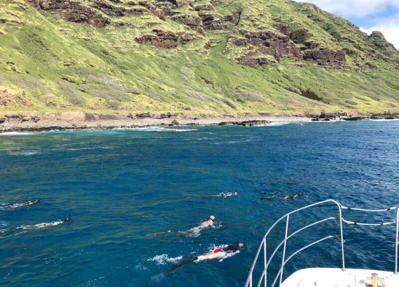 Oahu: Snorkel Adventure in Marine Sanctuary - Final Thoughts