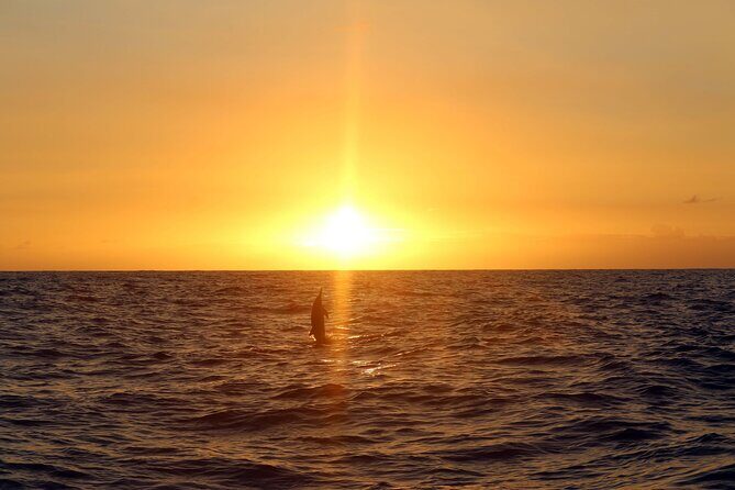 Oahu: Snorkel Sunset Cruise, Dolphin Watch with Hawaiian Buffet - FAQs