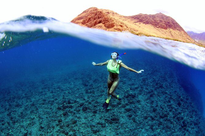 Oahu: Snorkeling and Dolphin Watch Cruise With Hawaiian Buffet - What the Reviews Say