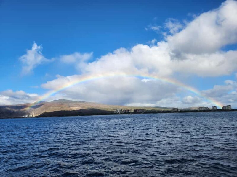 Oahu: Snorkeling & Dolphin Watch Cruise w/ Luau Style Buffet - Who Is This Tour Best For?