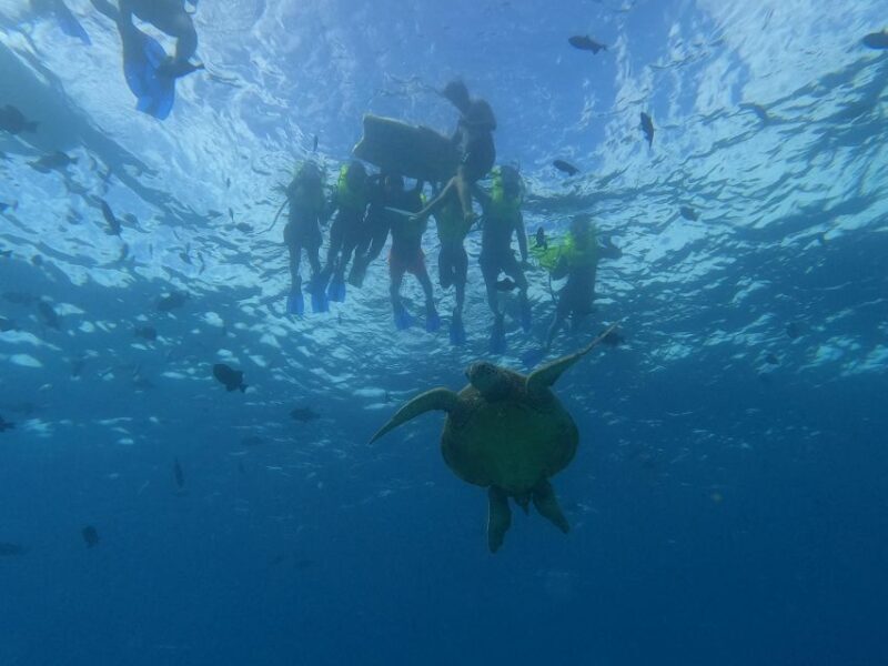 Oahu Snorkeling with Turtles, Water Scooter, Paddleboard - A Closer Look at the Experience