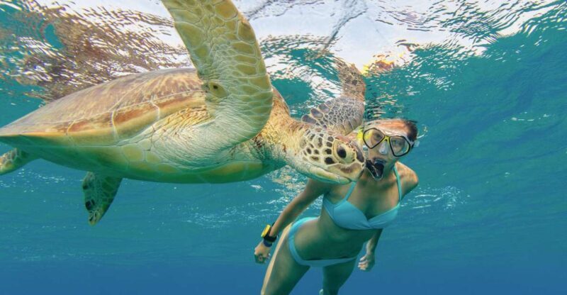 Oahu Snorkeling with Turtles, Water Scooter, Paddleboard - FAQs
