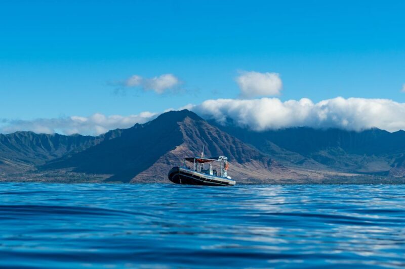 Oahu: Speedboat Snorkeling Adventure and Wild Dolphin Swim - FAQ
