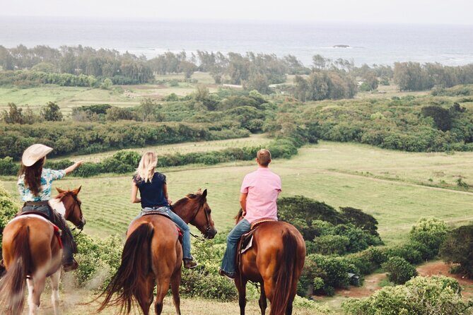 Oahu Sunset Horseback Ride - The Horses and Their Care