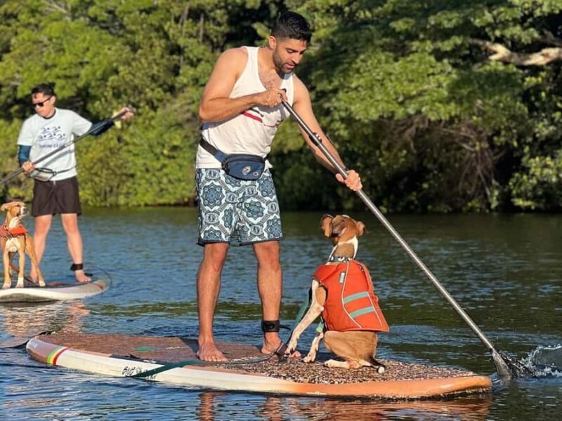 Oahu: SUPDog Experience - Paddle Board with Rescue Dogs - What to Expect from the SUPDog Experience