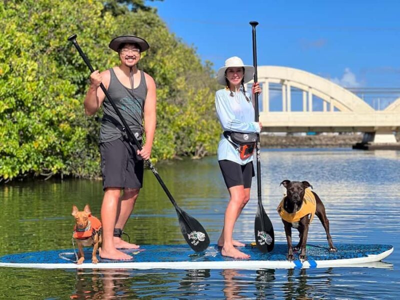 Oahu: SUPDog Experience - Paddle Board with Rescue Dogs - The Experience in Detail