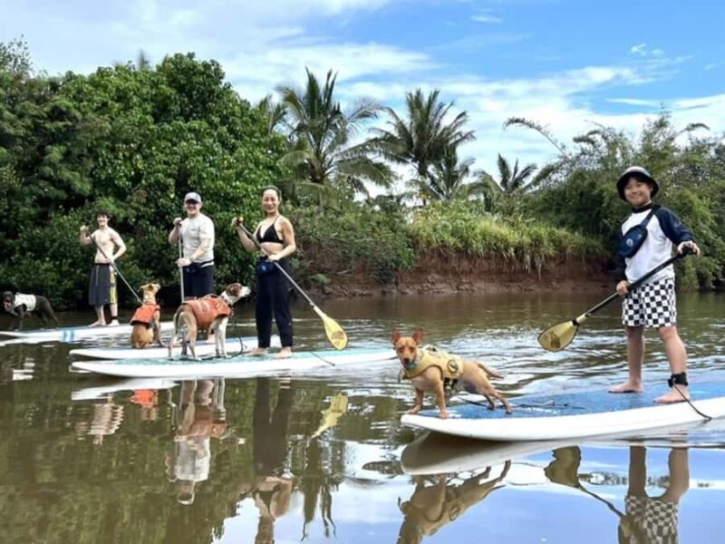 Oahu: SUPDog Experience - Paddle Board with Rescue Dogs - Who Will Love This Activity?