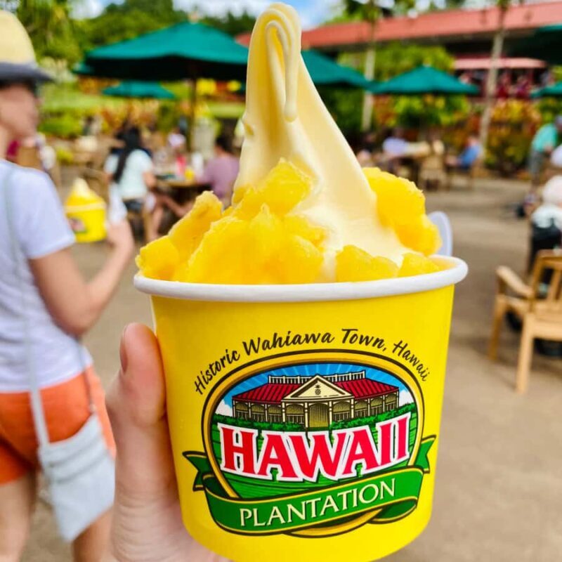 Oahu: The Ultimate Private Circle Island Tour 1-4 Guests - What Past Travelers Say