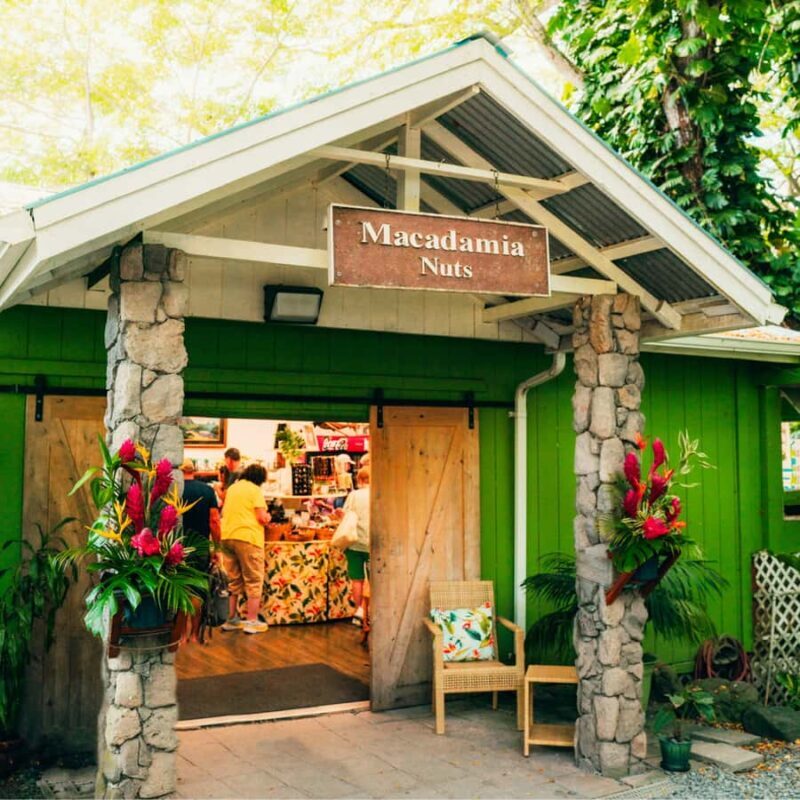 Oahu: The Ultimate Private Circle Island Tour 5-7 Guests - Key Points