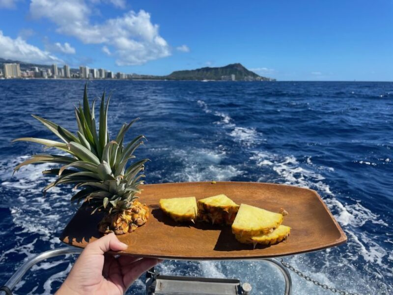 Oahu: Turtle Canyon Snorkeling Boat Tour - Frequently Asked Questions