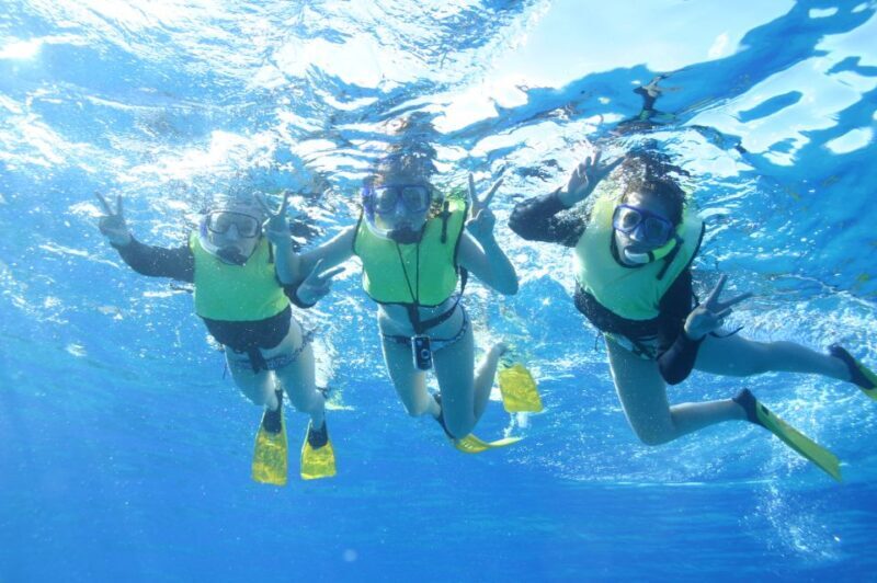 Oahu: Turtle Canyon Snorkeling & Hula Show - The Sum Up