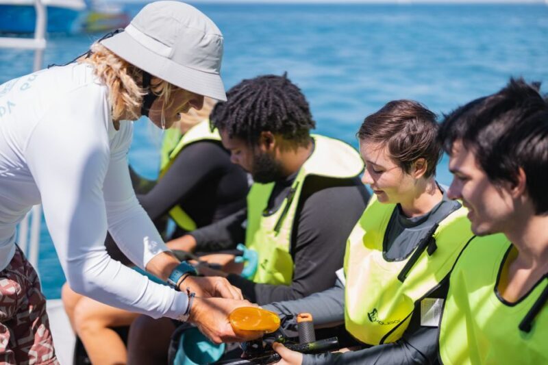 Oahu: Turtle Canyon Snorkeling & Hula Show - FAQ