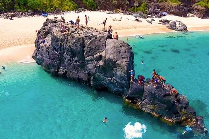 Oahu Ultimate Circle Island Tour Full Day Experience - Exploring Jurassic Valley and Laie