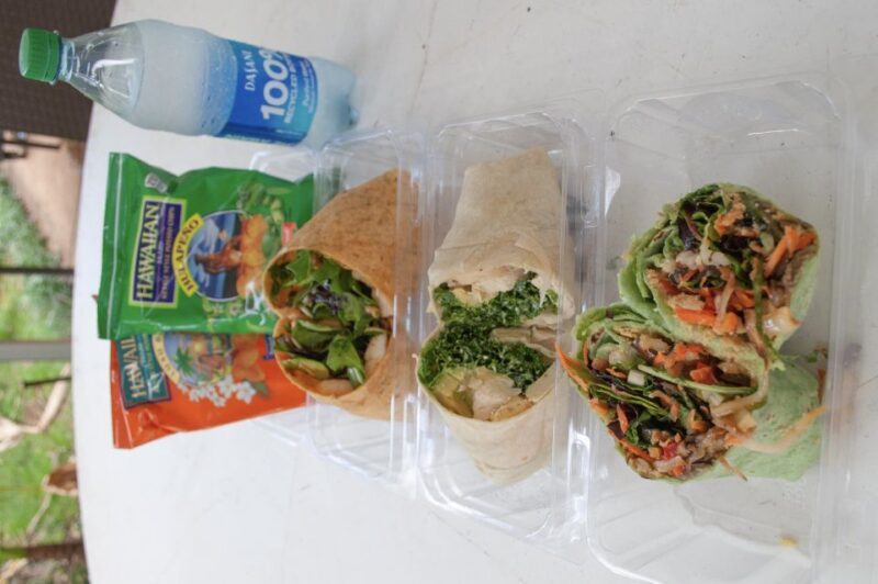 Oahu: Valley of Waimea Falls Swim & Hike with Lunch & Dole - Overall Value and Experience