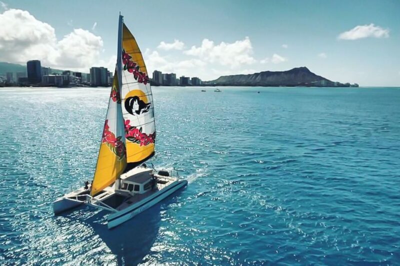 Oahu: Waikiki Eco-Friendly Morning Whale Watching Cruise - What Makes This Tour Stand Out?