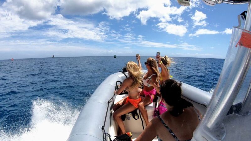 Oahu: Waikiki Private Snorkeling and Wildlife Boat Tour - Why This Tour Stands Out