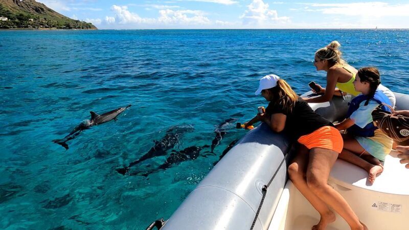 Oahu: Waikiki Private Snorkeling and Wildlife Boat Tour - The Snorkeling Spots & Marine Life