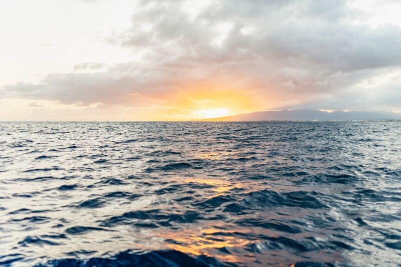 Oahu: Waikiki Sunset Catamaran Cocktail Cruise - What You’ll Eat and Drink