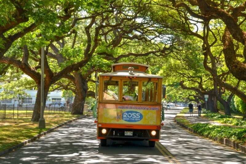 Oahu: Waikiki Trolley Hop-on Hop-off All-Line Pass - Final Thoughts: Is it Worth It?