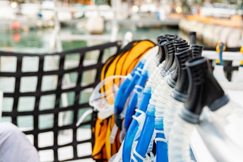 Oahu: Waikiki Turtle Canyons Cruise and Snorkel Excursion - Snorkeling Time: Turtles, Fish, and Underwater Wonders