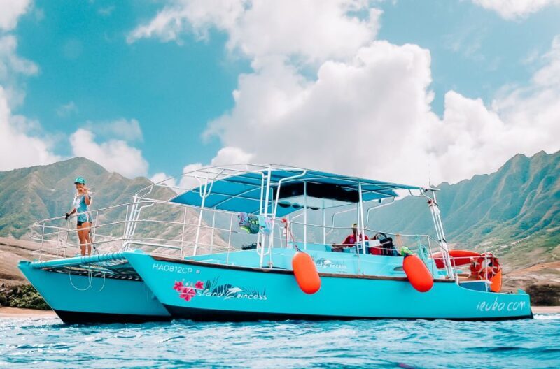 Oahu: Waikiki Turtle Snorkeling Adventure - The Itinerary: What to Expect