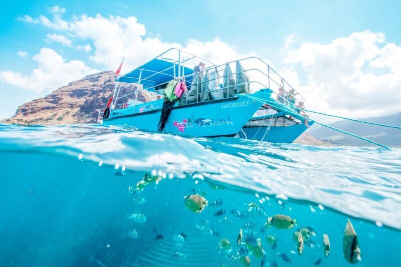 Oahu: Waikiki Turtle Snorkeling Adventure - Price and Value