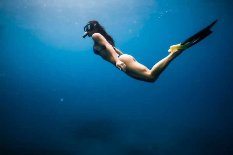 Oahu: Waikiki Turtle Snorkeling Adventure - Suitability and Considerations