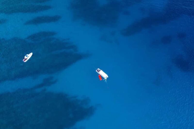 Oahu: Waikiki Whale Watch Boat Tour - Final Thoughts