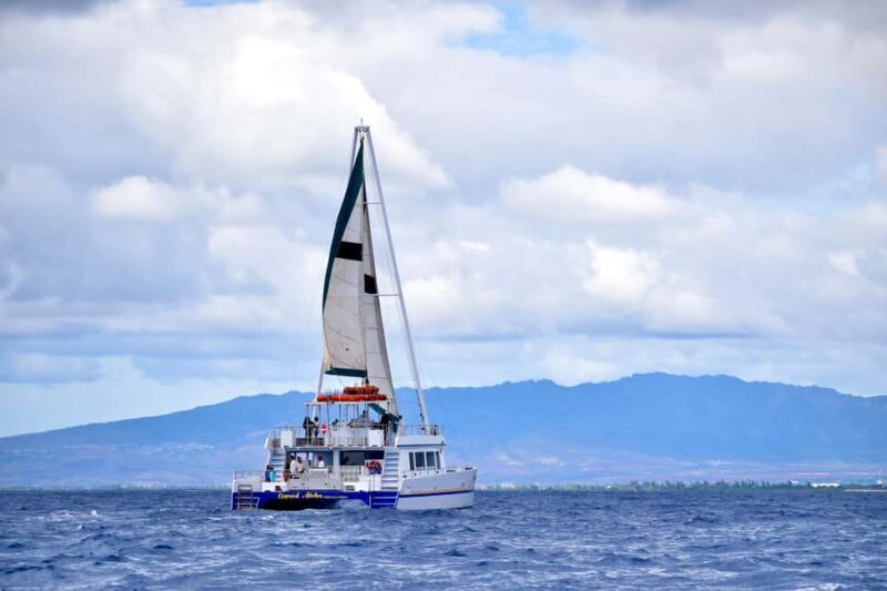 Oahu: Waikiki Whale Watching Cruise - Key Points