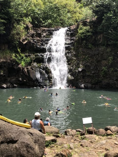Oahu: Waimea Falls & valley & North Shore day - Who Is This Tour Best For?