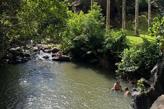 Oahu Waterfall Hike-Garden-Beach Road Trip, Waikiki to Lanikai - Who Is This Tour Best For?